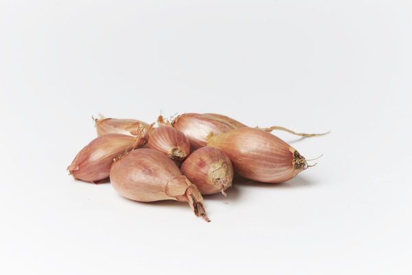 Mynd Skalottlaukur  5 kg.