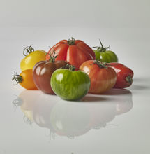 Mynd Tomatoes Heirloom Mix 10x300gr
