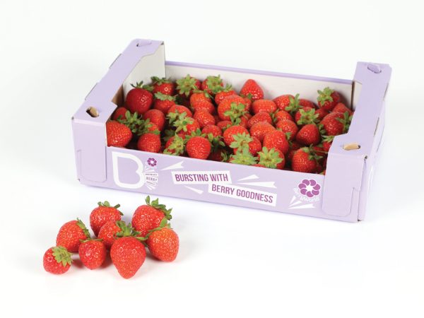 Mynd Jarðarber 1 kg