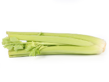 Mynd Sellerí erl 8,3 kg.