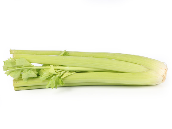 Mynd Sellerí erl 8,3 kg.