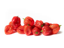 Mynd Habanero Peppers Red