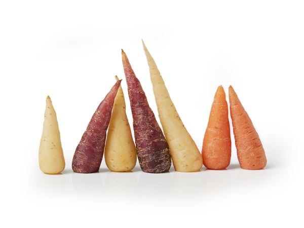 Mynd Gulrætur Chantenay regnboga