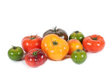 Mynd Tomatoes Heirloom mix 4,5 kg