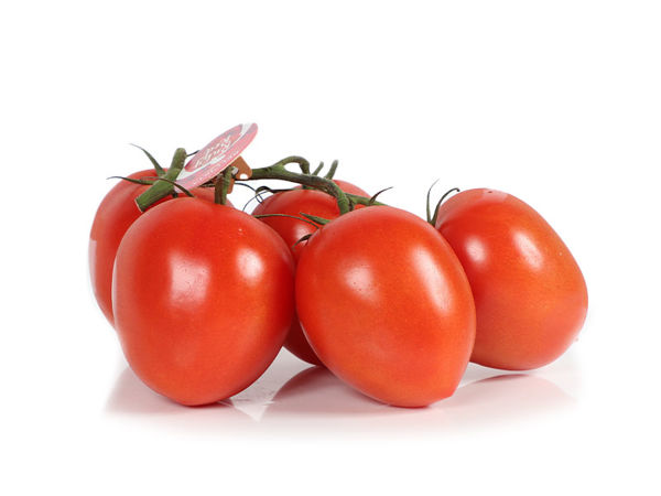 Mynd Tomatoes Roma on the vine (pomodoro) 5 kg.