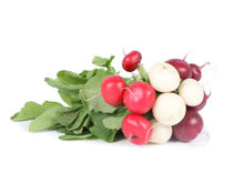 Mynd Radish rainbow 2,5 kg.