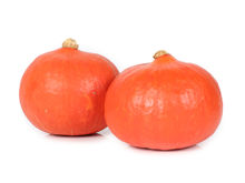 Mynd Pumpkin Hokaido - Onion squash