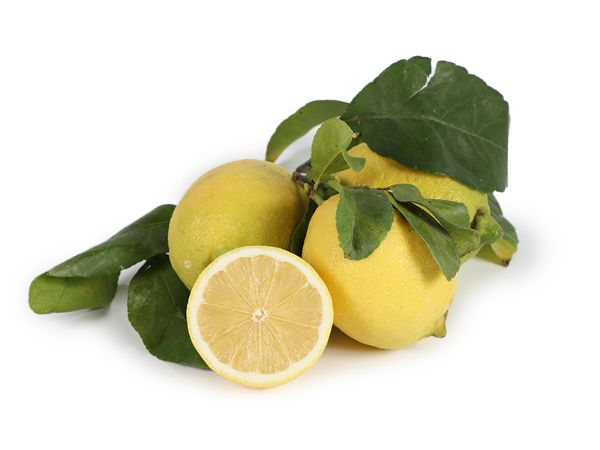 Mynd Lemons Amalfi                  