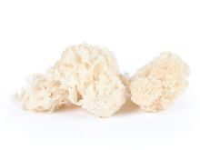 Mynd Cauliflower mushroom 2X500gr