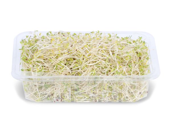 Mynd Alfa Alfa Spírur 50gr