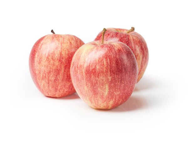 Mynd Lífrænt - Epli Royal Gala 13 kg
