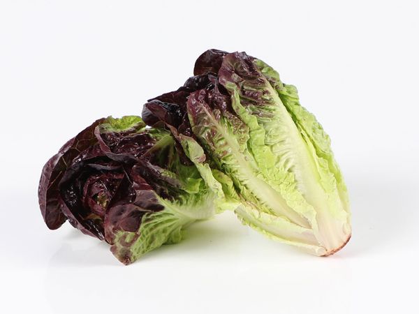 Mynd Little gem - rautt