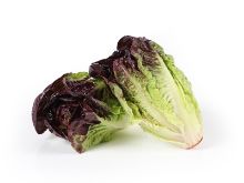 Mynd Little gem - rautt