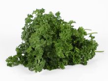 Mynd Steinselja 50 gr krulluð erl. 