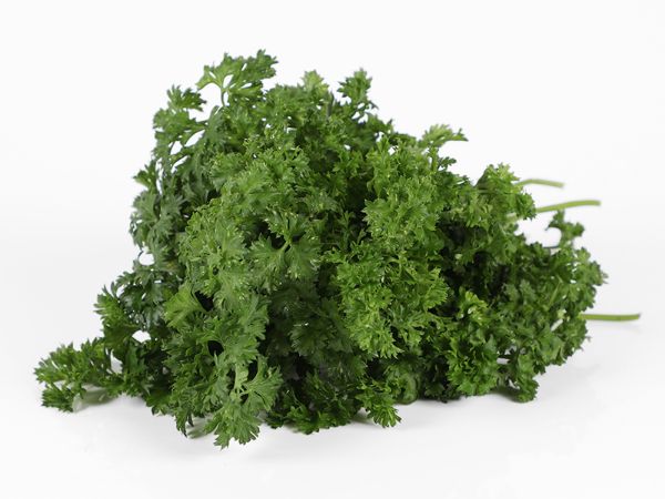 Mynd Steinselja 50 gr krulluð erl. 