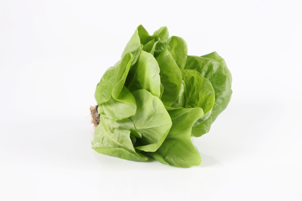 Mynd Blaðsalat ísl. (Spretta) 200 gr