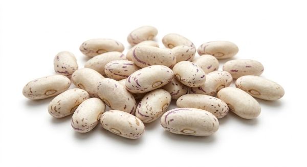 Mynd Bean Coco Paimpol AOP 8kg