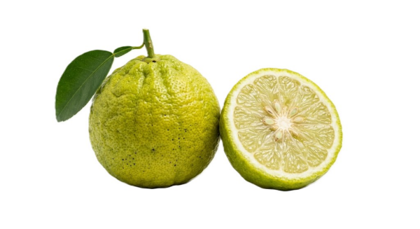 Mynd Bergamot Citrus